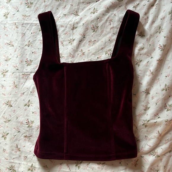 Burgundy Velvet Corset Top - Picture 2 of 5